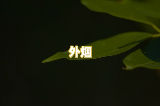 外烟